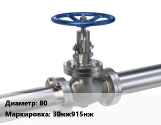 Задвижка нержавеющая 80 30нж915нж Ру40 клиновая